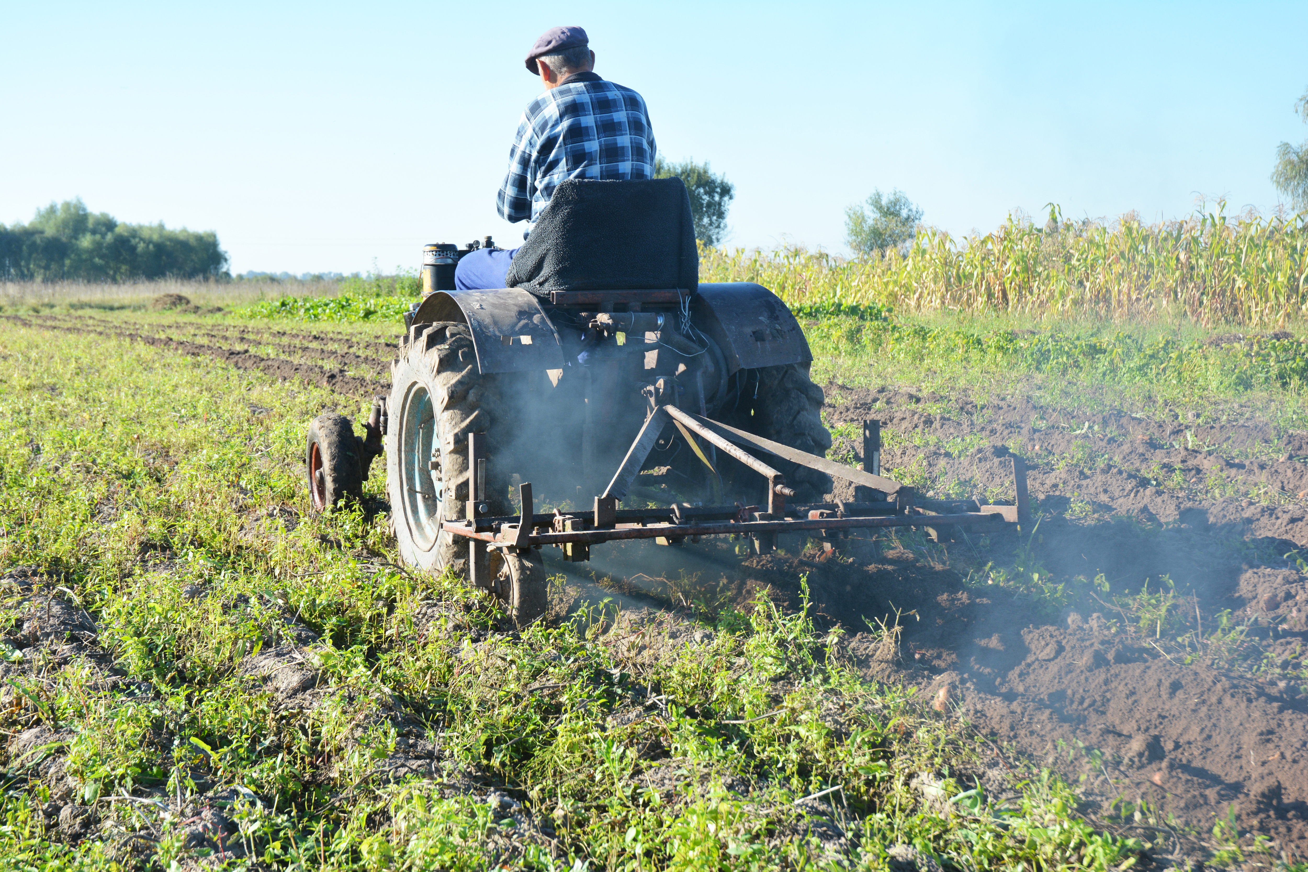 Kleinbauer bei der Arbeit