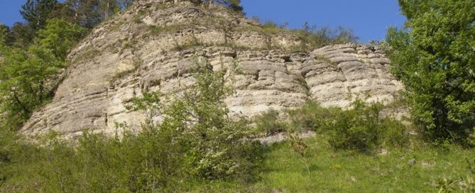 dpa50666776_muschelkalkfelsen_jonastal_thueringen